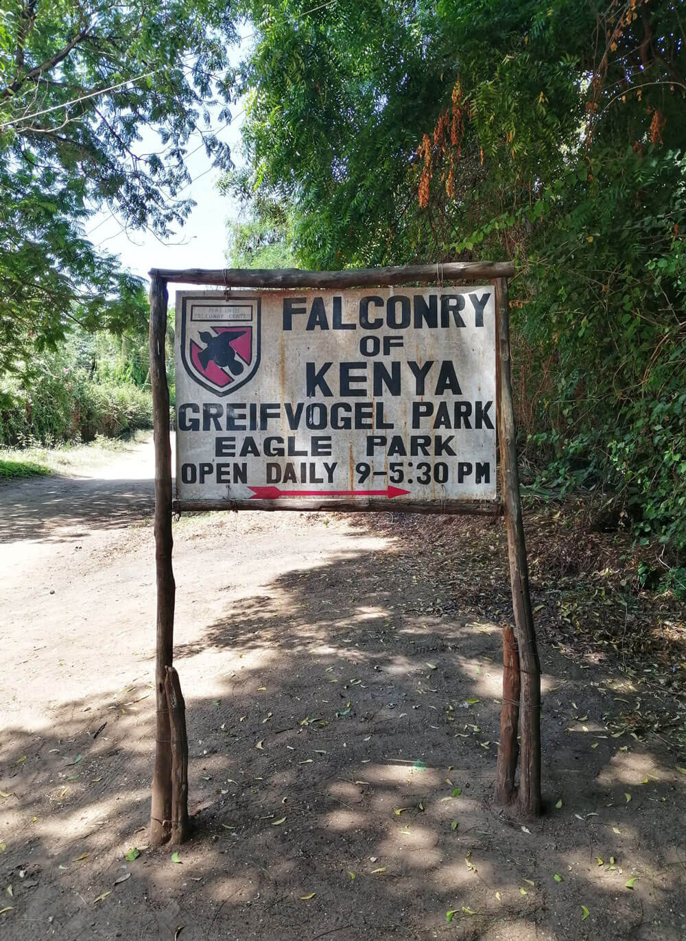 Falconry-of-Kenya-1